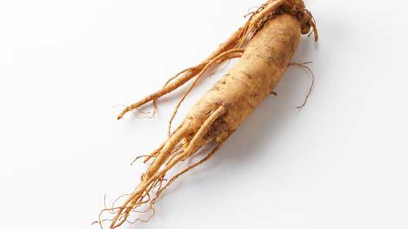 Government of Canada supports market development for Ontario Ginseng