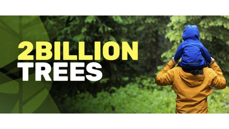 NewCa.com: Tree-Planting Drones to Revitalize Reforestation - Vimarsana News