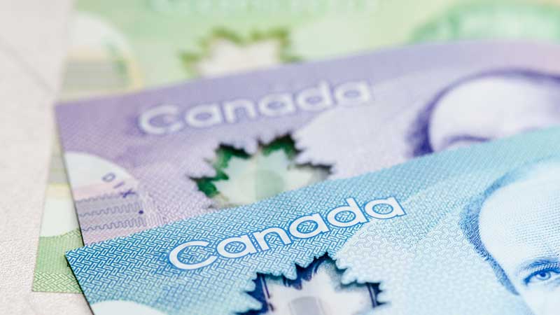 NewCa.com: 🍁💵 Newcomers Highlight Opportunities for Canadian - Vimarsana News