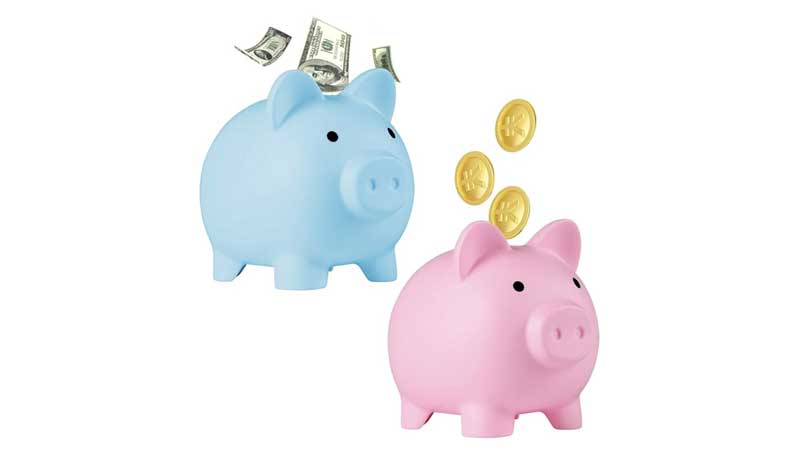 💰🐷🏦 Are Canadian Piggybanks Facing Extinction - Or Are They Just Temporarily Collecting Dust? 💵