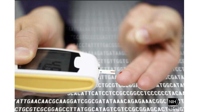 ⚕️ Significant Progress on New Diabetes and Obesity Treatments