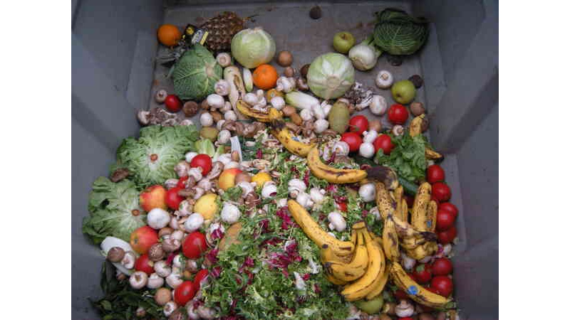 🥔🥕 Seven Million Pounds of Food Diverted From Waste in 2025 Thanks to FoodHero