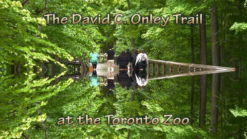 🛤️ 2024 The David C. Onley Trail Unveiled at the Toronto Zoo (4K HDR, images)
