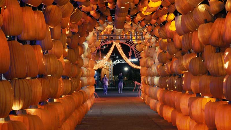 ✨🎃👻 illumi Toronto Halloween Haunt by Cavalia Light Show 2024 Walk–through (4K 60p HDR, Images)