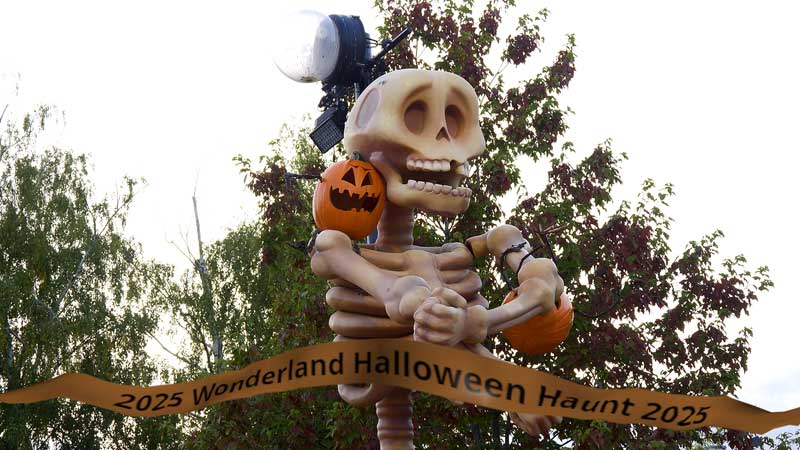 2025 🎃 Canada's Wonderland Halloween Haunt: NEW Attraction & Everything You Need to Know!