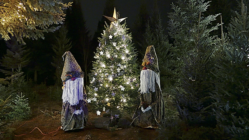 2025 ✨ ENCHANTA: Holiday Forest of Lights at Drysdale’s Tree Farm