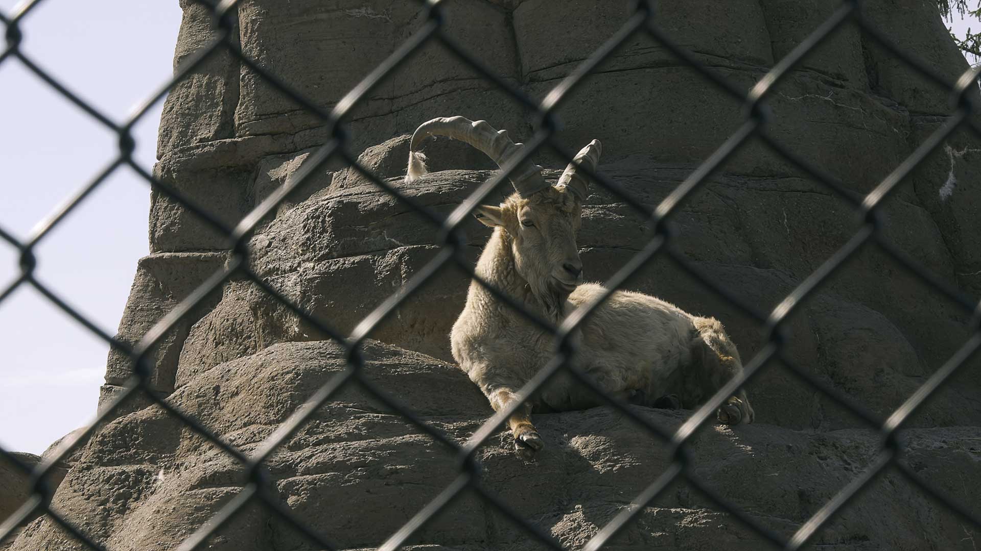 Slide #35