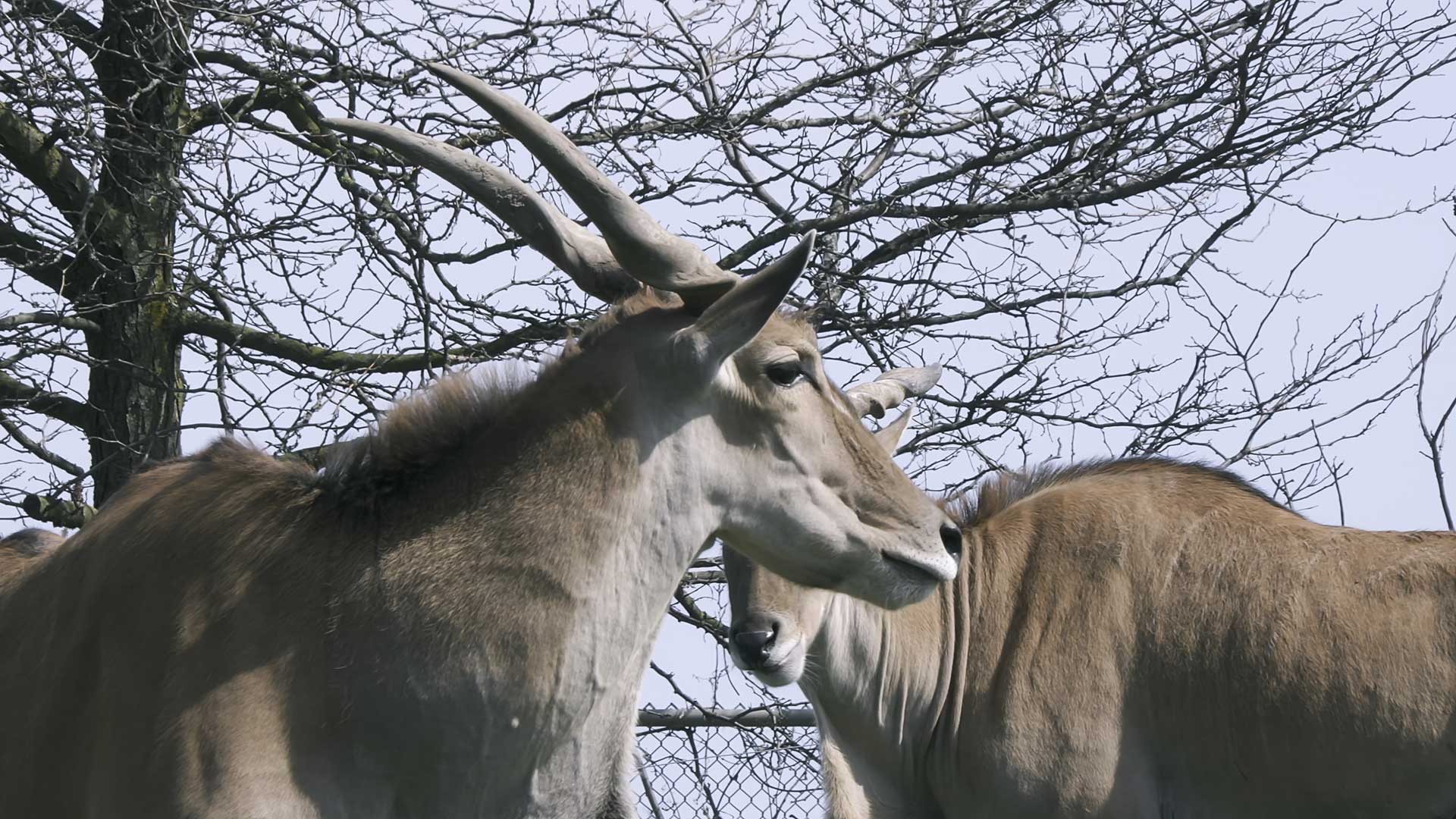 Slide #48