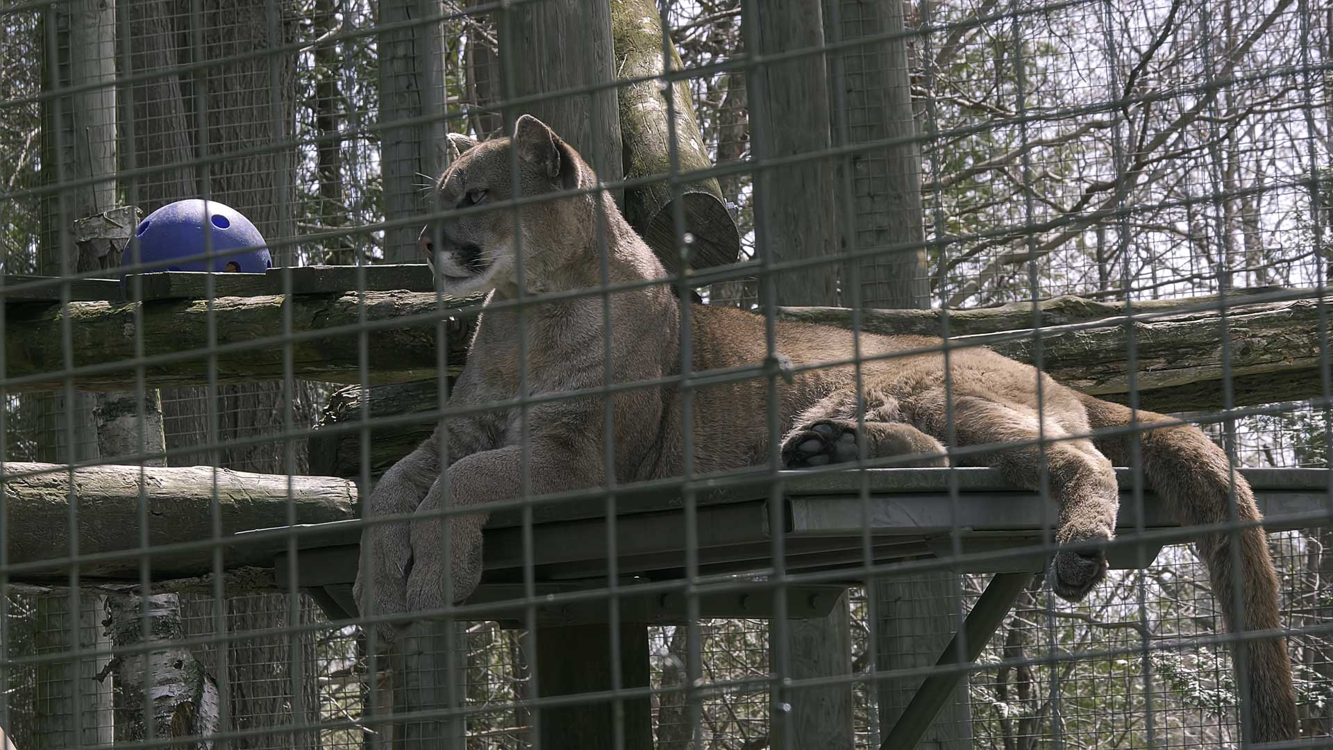 Slide #61