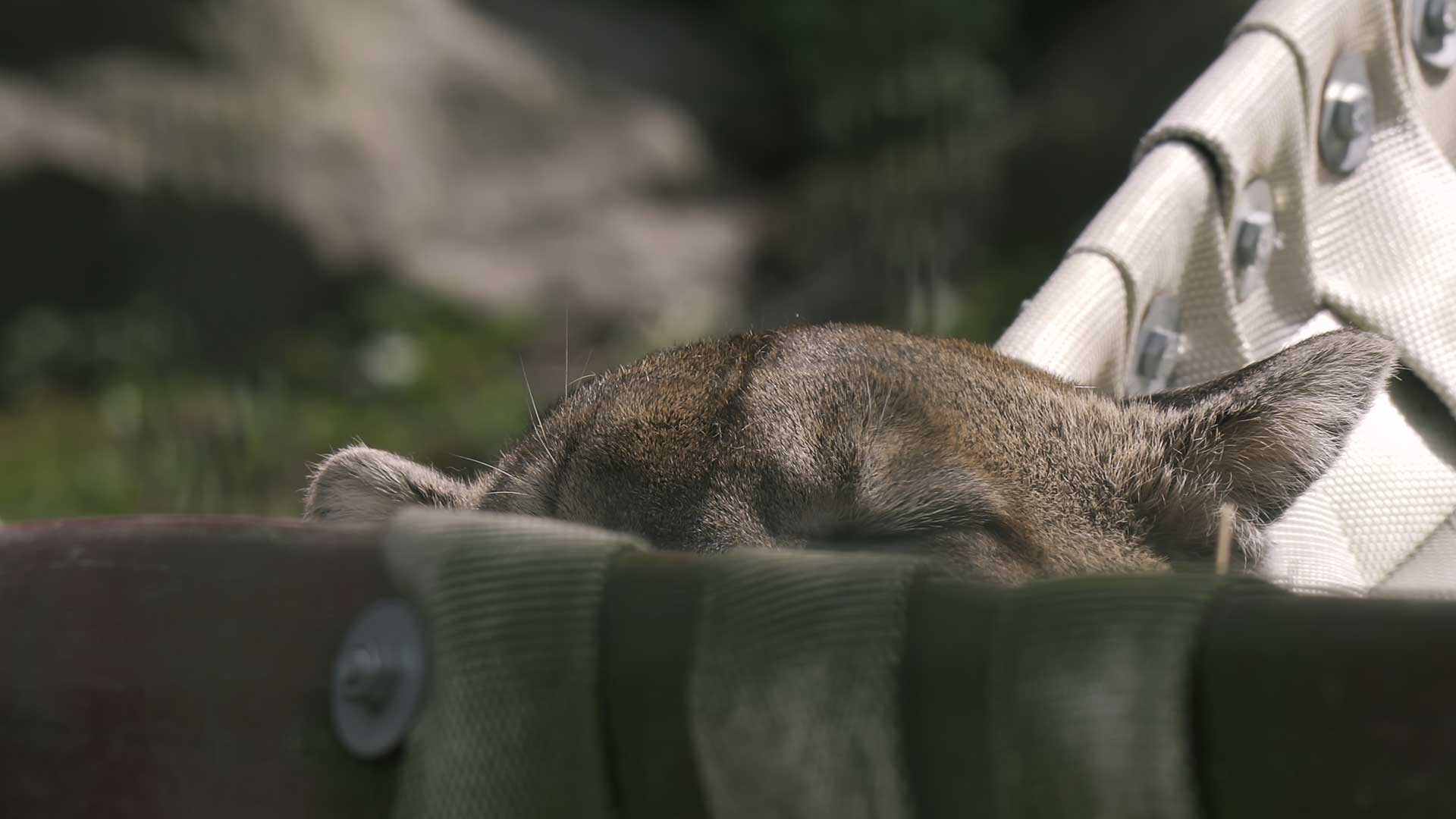 Slide #65