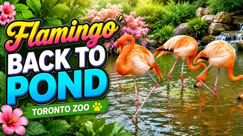 2026 Toronto Zoo Spring Highlights 🐾 Cutest and Most Amazing Animal Moments