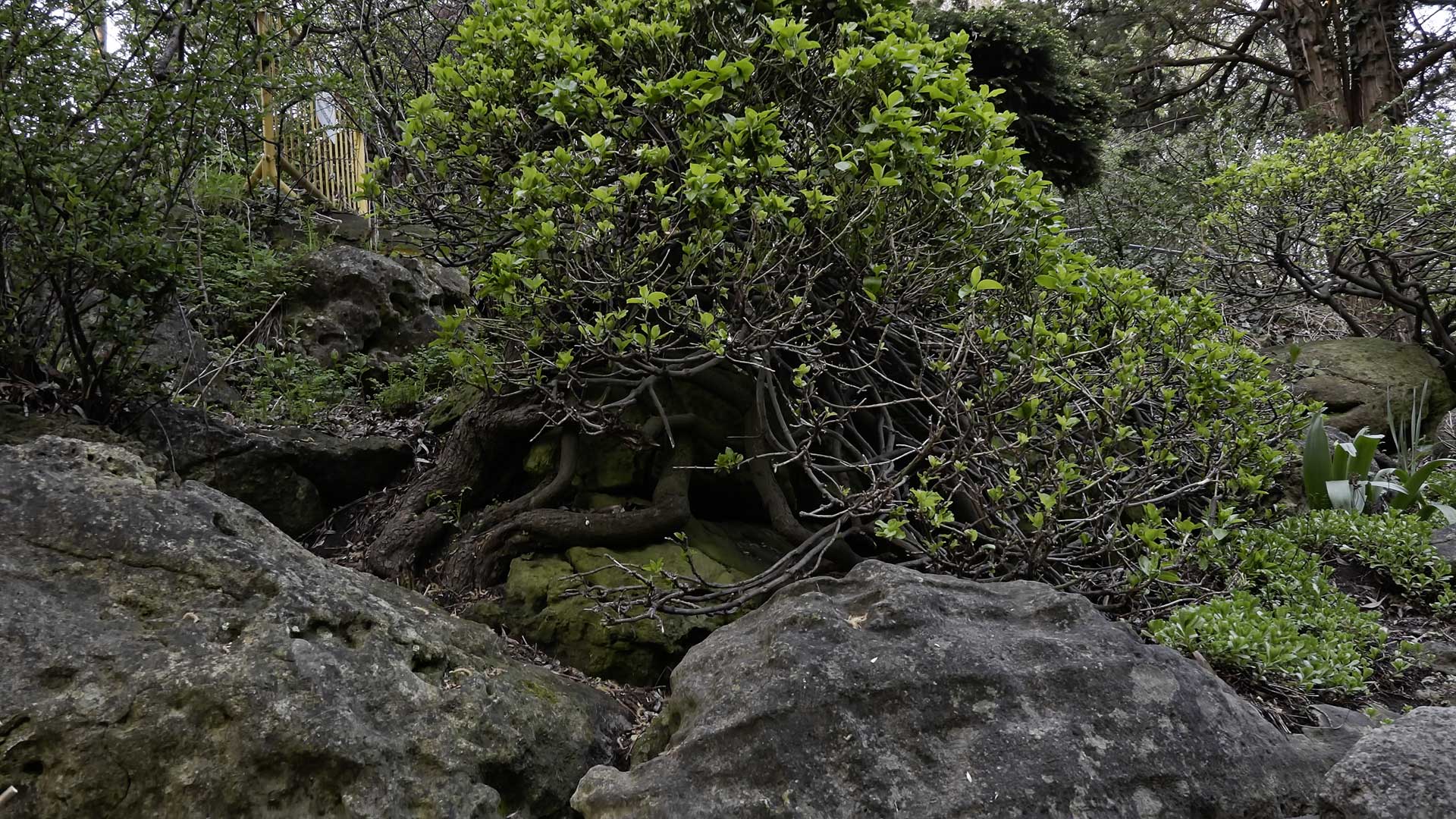 Slide #45