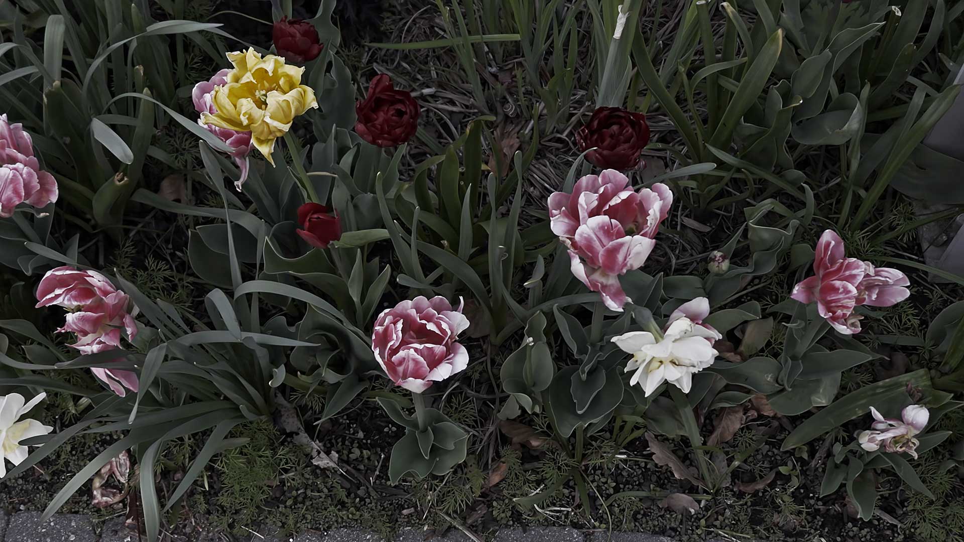 Slide #67