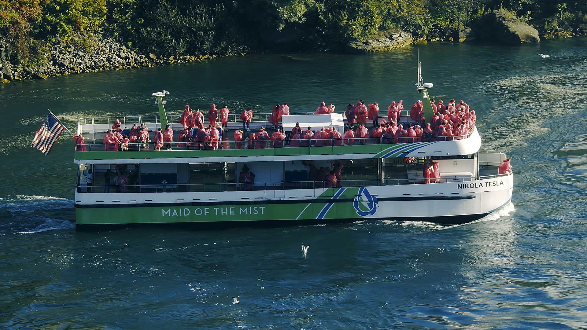 Slide #8