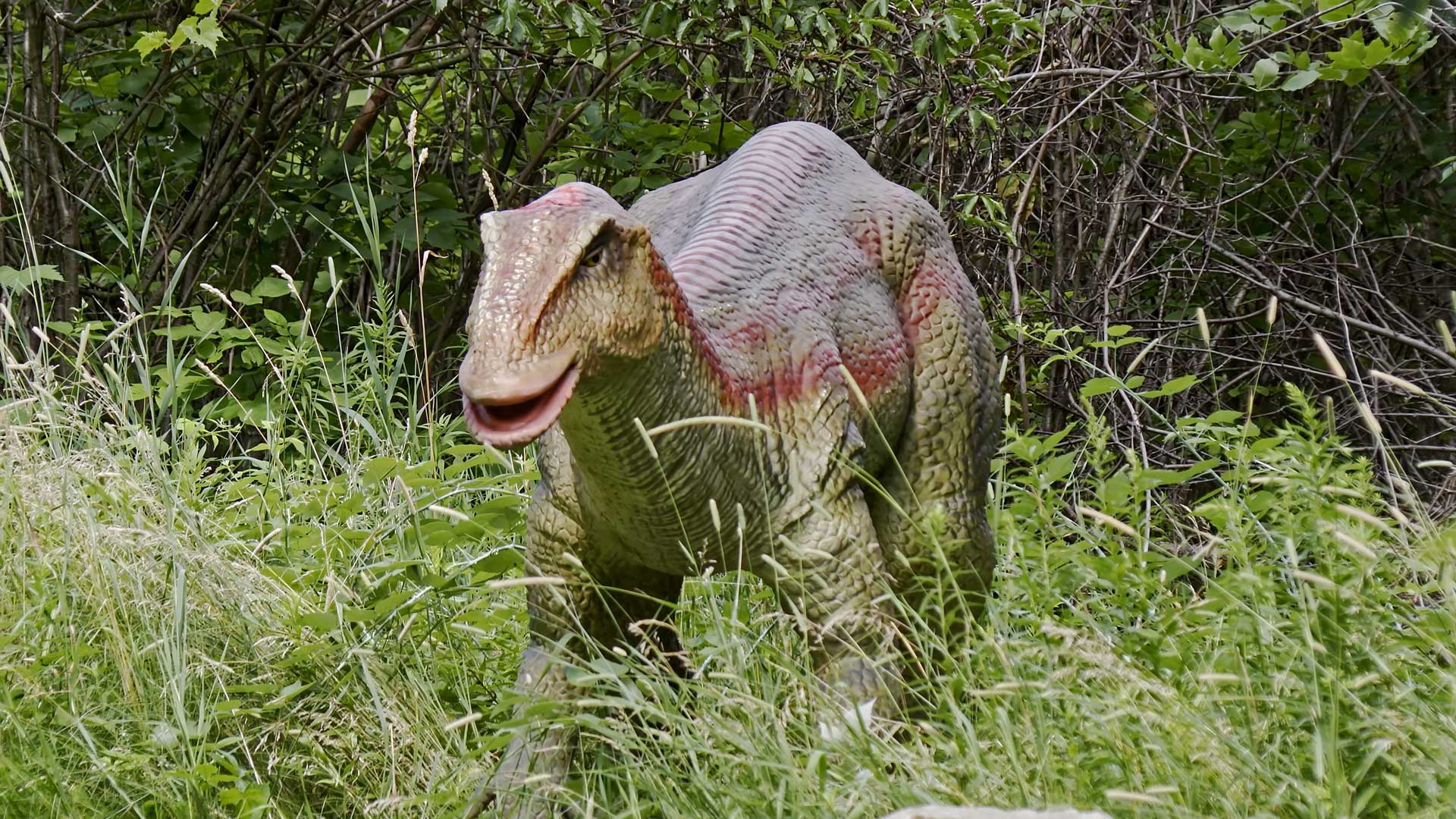 Slide #95