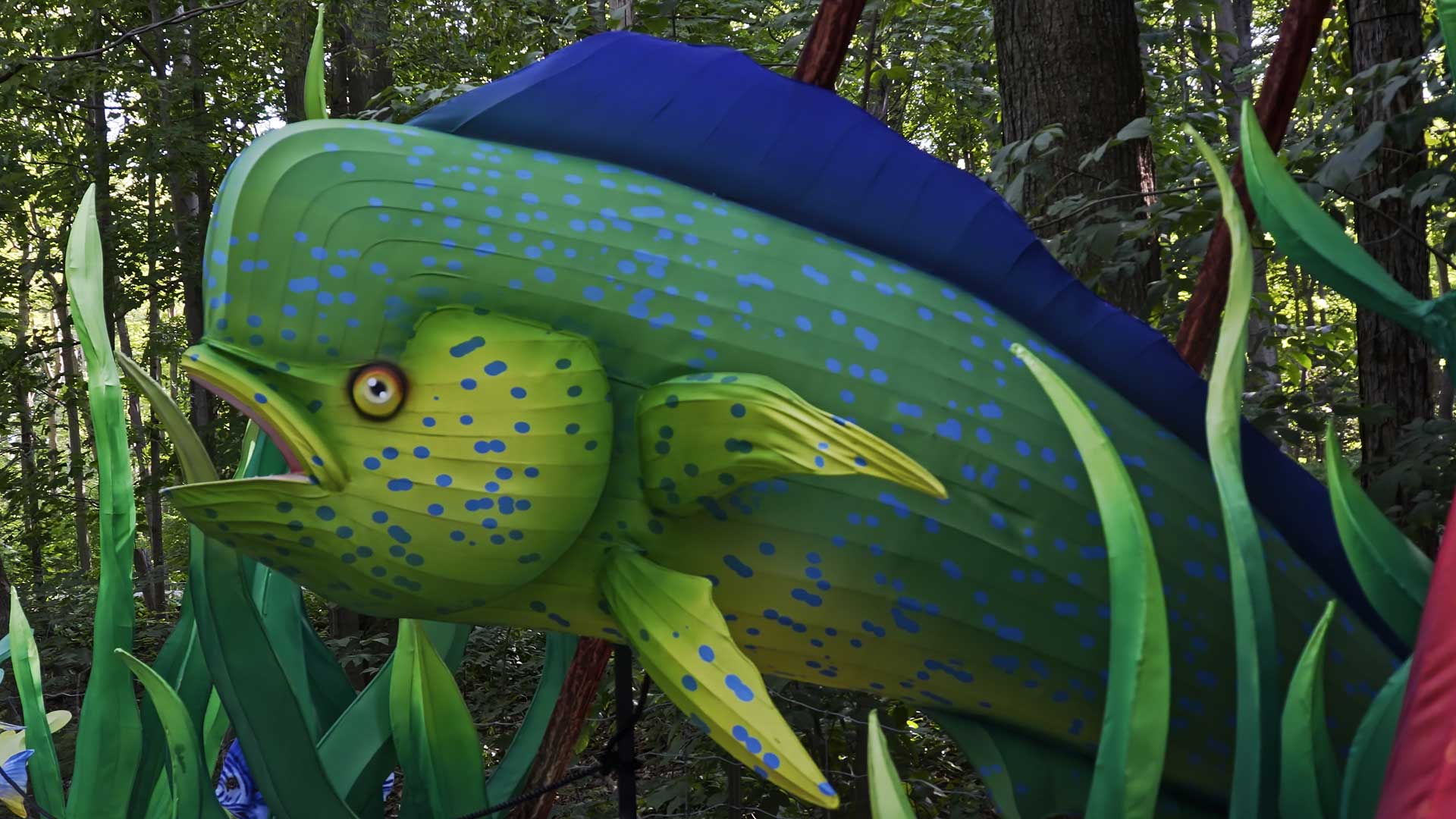 Slide #6