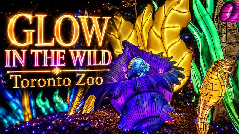 2026 ✨GLOW in the WILD 🏮 Toronto Zoo’s Magical Night Lantern Festival