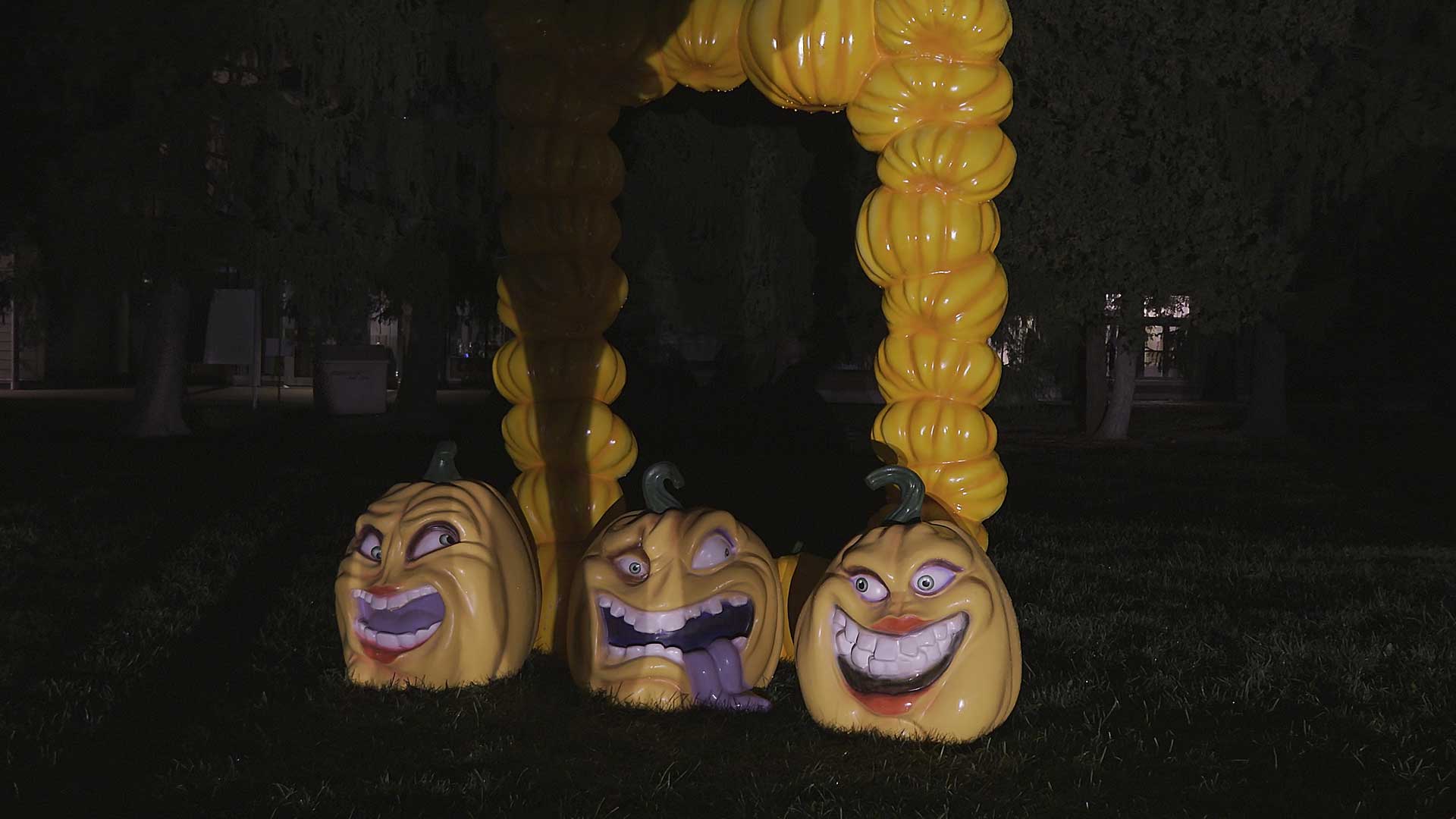 Slide #5